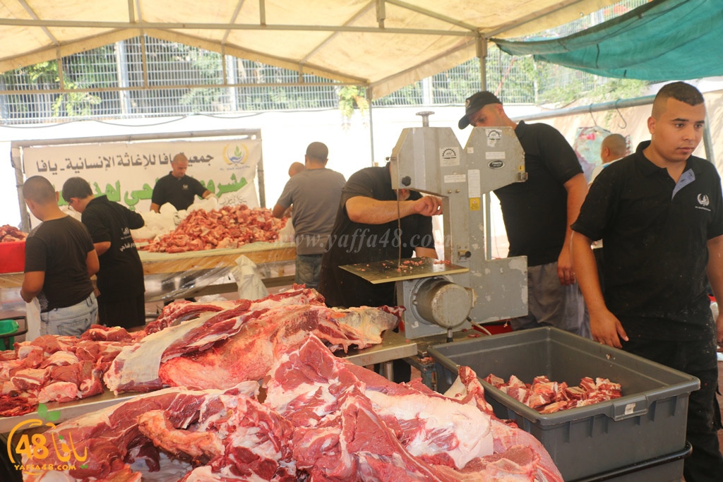 ada7y forthei (102).JPG